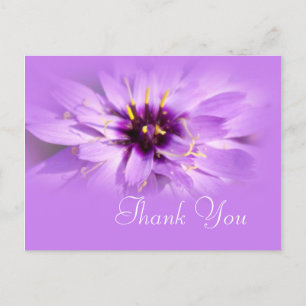 Carte postale de remerciement avec une fleur d'égl