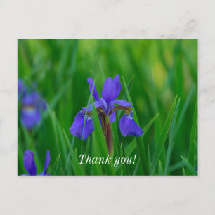 Carte postale de remerciement Blue Dutch Among Lea