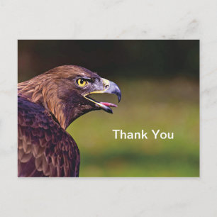 Carte postale de remerciement Faucon