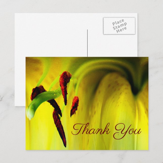 Carte postale de remerciement fleur abstraite Lys  (Devant / Derrière)