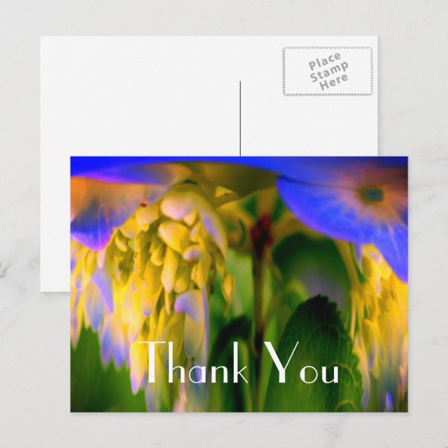 Carte postale de remerciement florale abstraite d' (Devant / Derrière)
