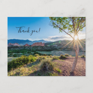 Carte postale de remerciement Garden Of Gods Tree