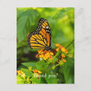 Carte postale de remerciement Monarch sur Lantana