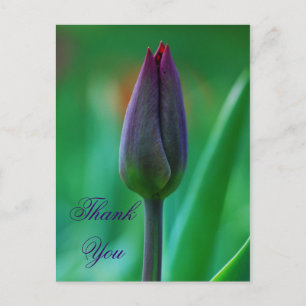 Carte postale de remerciement tulipe violette fraî