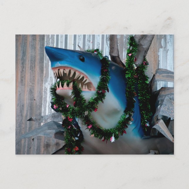 Carte postale de requin de Noël (Devant)