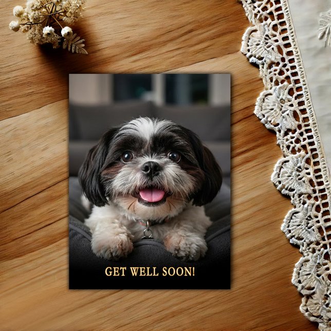 Carte postale de rétablissement pour adorable Shih (Créateur téléchargé)
