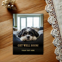 Carte postale de rétablissement pour adorable Shih