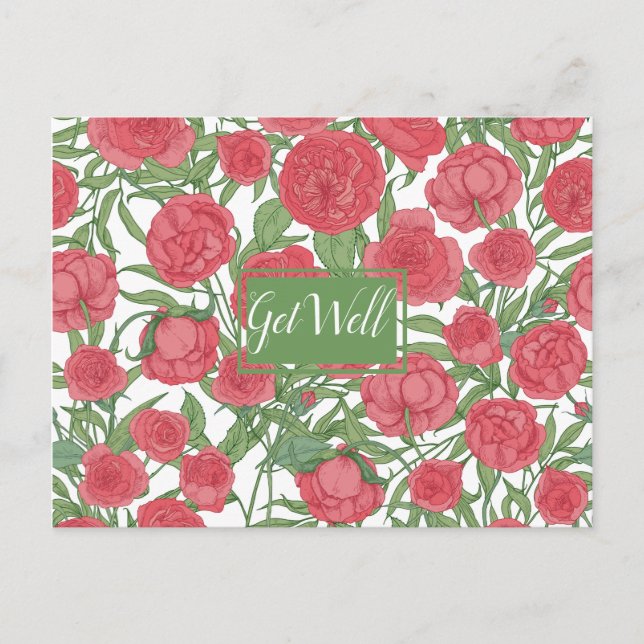 Carte postale de rétablissement Rose rose (Devant)