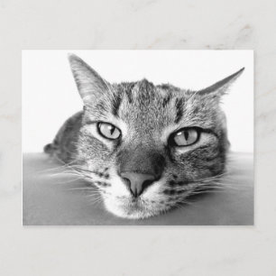 Carte postale de retrait