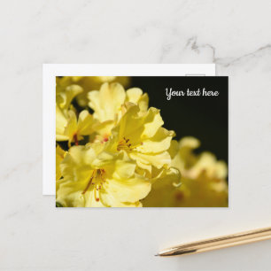 Carte postale de Rhododendron jaune