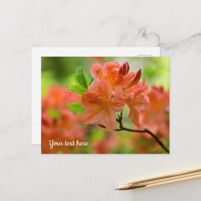 Carte postale de Rhododendron orange (Devant/Arrière en situation)