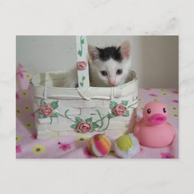 Carte postale de Riley (Devant)