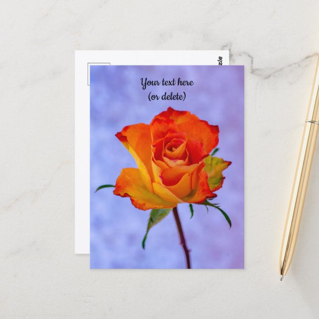 Carte postale de rose orange et jaune unique (Devant/Arrière en situation)