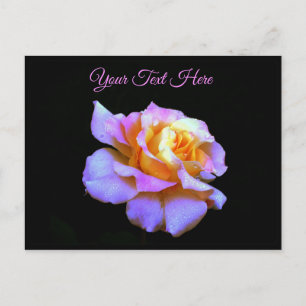 Carte postale de rose teintée de rose *personnalis