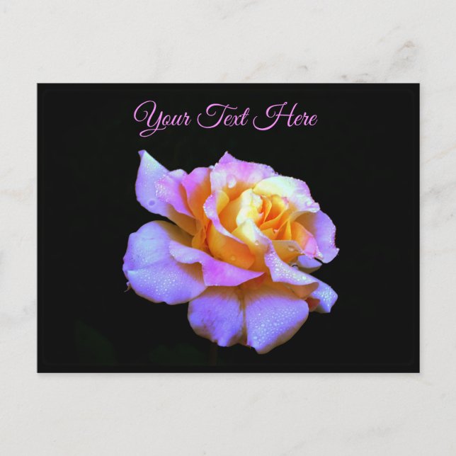 Carte postale de rose teintée de rose *personnalis (Devant)