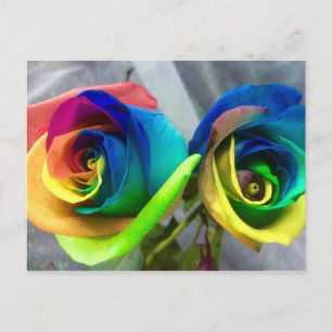 Carte postale de roses d'arc-en-ciel