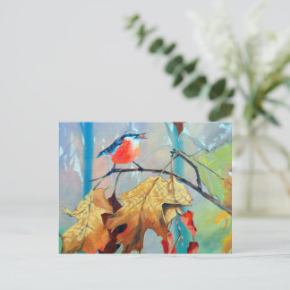 Carte postale de rouge-gorge