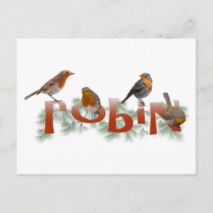 Carte postale de rouge-gorge