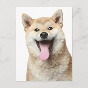 Carte postale de salutation de chiot Shiba Inu