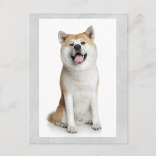 Carte postale de salutation de chiot Shiba Inu