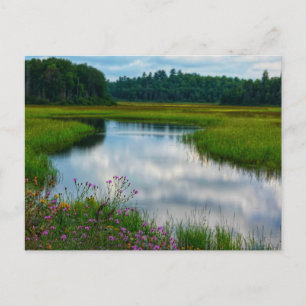 Carte postale de scène du Michigan