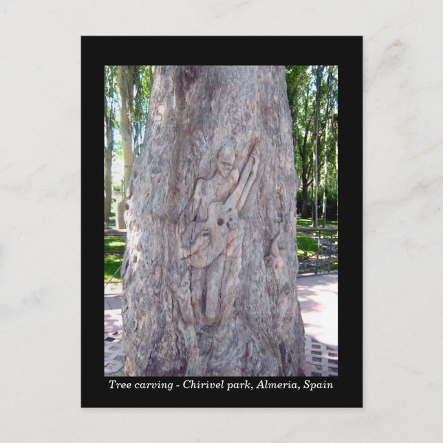 Carte postale de sculpture d'arbre du joueur de gu (Devant)