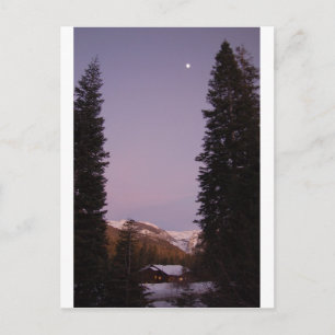 Carte postale de Sequoia