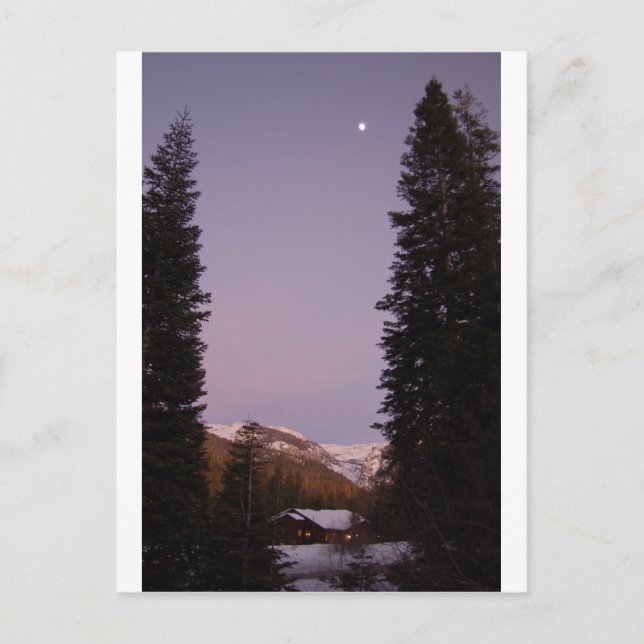 Carte postale de Sequoia (Devant)