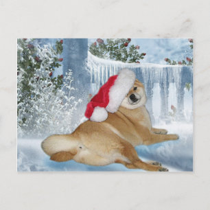 Carte postale de Shiba Inu de Noël