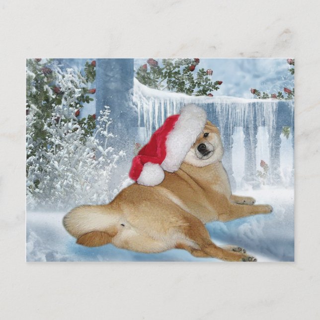 Carte postale de Shiba Inu de Noël (Devant)