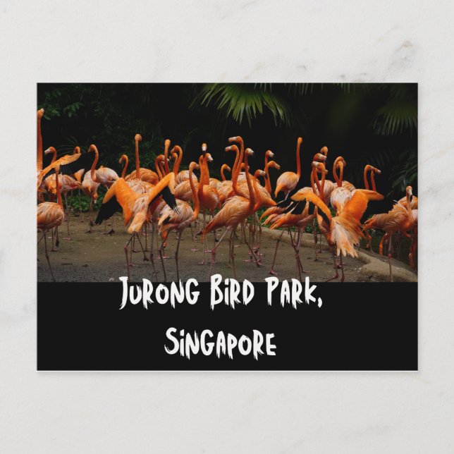 Carte postale de Singapour Travel (Devant)