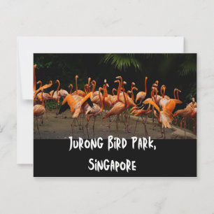 Carte postale de Singapour Travel