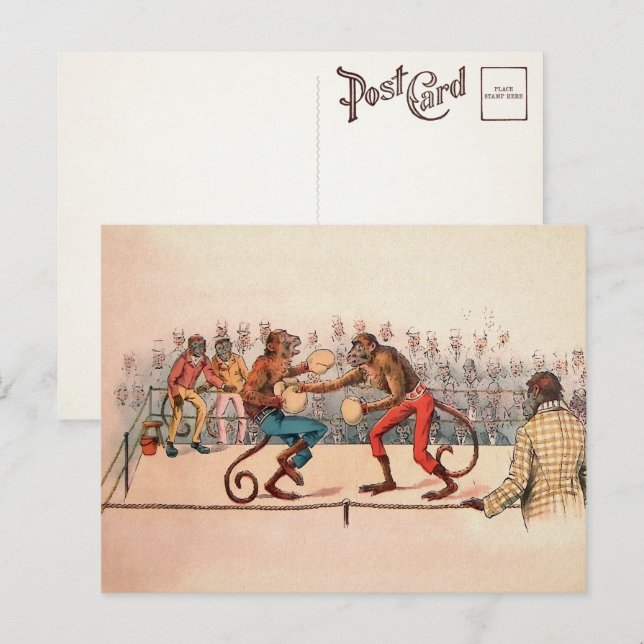 Carte postale de singes de boxe victorienne (Devant / Derrière)