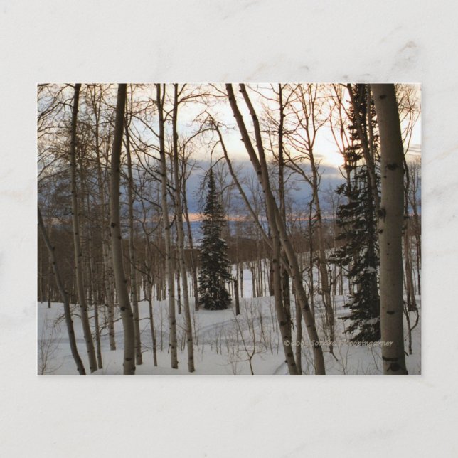 Carte postale de soirée d'hiver (Devant)