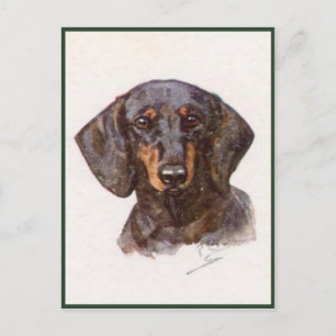 Carte Postale De Style vintage Avec Beau Dachshund