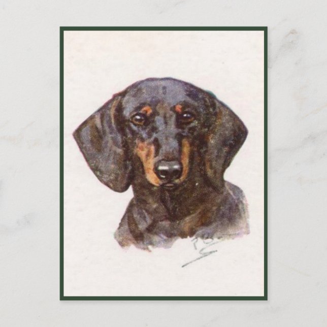 Carte Postale De Style vintage Avec Beau Dachshund (Devant)
