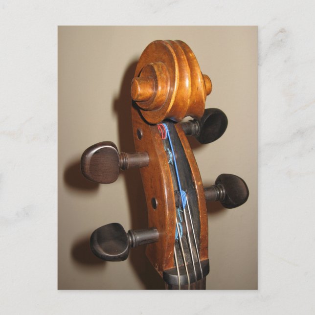 Carte postale de tête de violon (Devant)