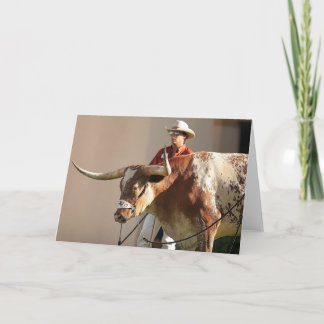 Carte postale de Texas Longhorns