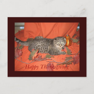Carte postale de thanksgiving