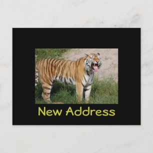 Carte postale de tigre de "nouvelle adresse"
