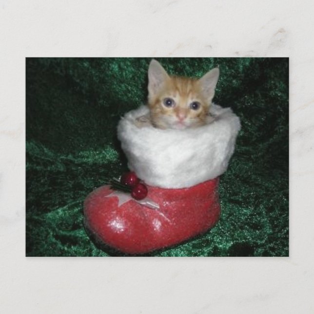 Carte postale de Timon (Devant)