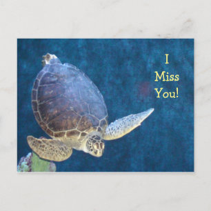 Carte postale de tortue marine (Ajouter votre prop