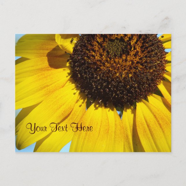 Carte postale de tournesol jaune. -Personnalisable (Devant)