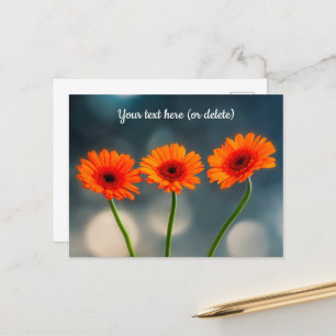 Carte postale de trois Gerberas orange alignés