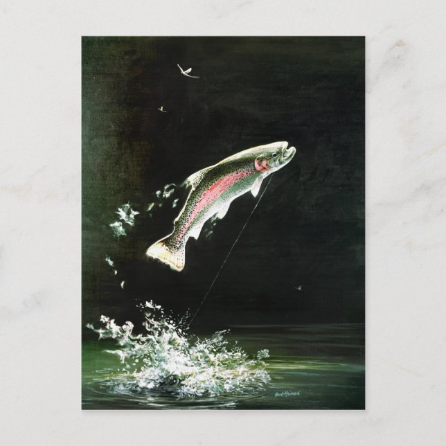 carte postale de truite arc-en-ciel (Devant)