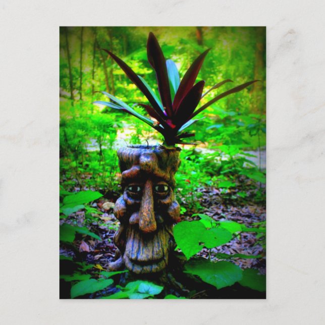 Carte postale de type Whimsical Stump (Devant)