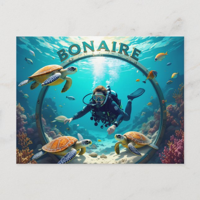 carte postale de vacances à bonaire (Devant)