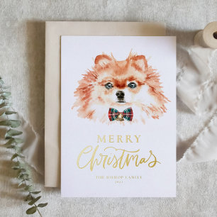 Carte Postale De Vacances En Aluminium Aquarelle festive Chien roumain Joyeux Noël