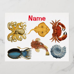 Carte Postale De Vacances En Aluminium Assortiment d'êtres marins uniques de Thunder_Cove
