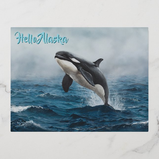 Carte Postale De Vacances En Aluminium Baleine tueuse qui saute dans l'océan sauvage Orca (Recto)